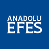 AEFES logo