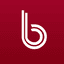 BAYRK logo