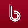 BAYRK logo