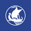 VKING logo