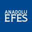 AEFES logo