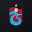 TSPOR logo